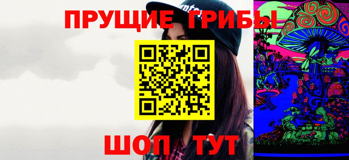 Гуково  Псилоцибиновые грибы Psilocybe  Вход с VPN 