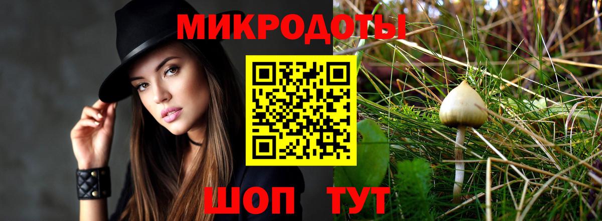 ГАШ Гуково